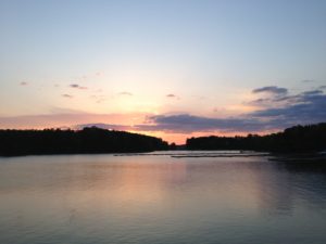 A body of water with trees in the background