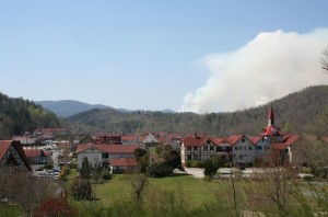 A view of some houses and trees in the background